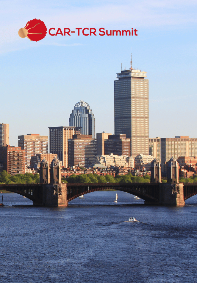 boston skyline CARTCR
