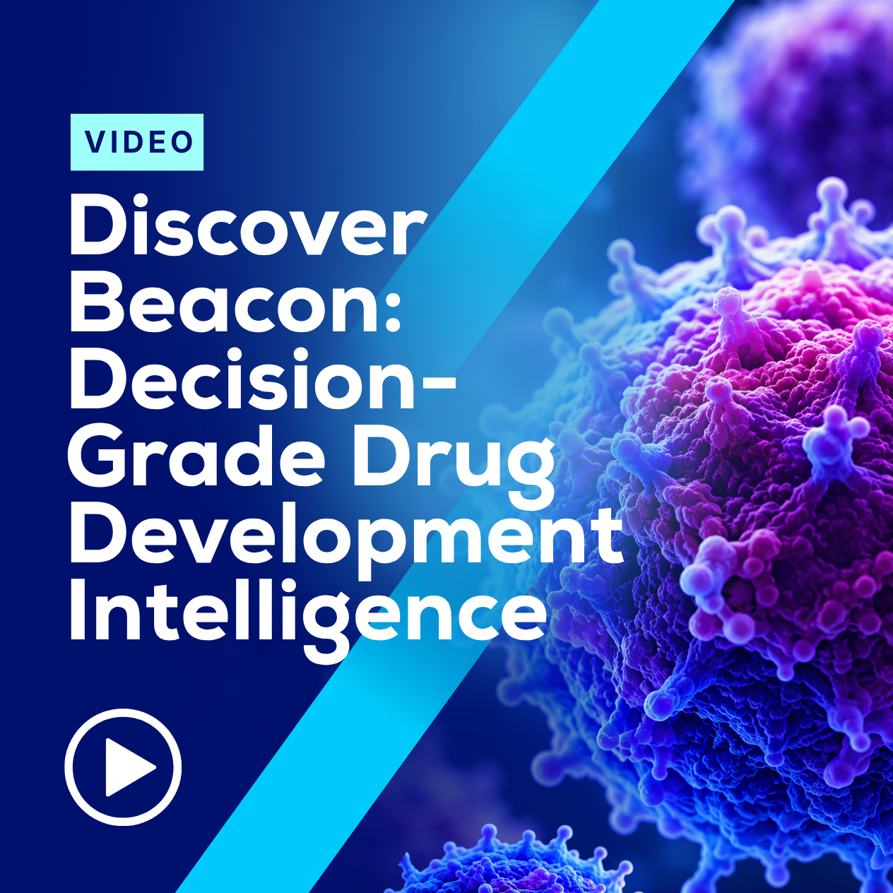 Discover-Beacon-Featured-Image.png